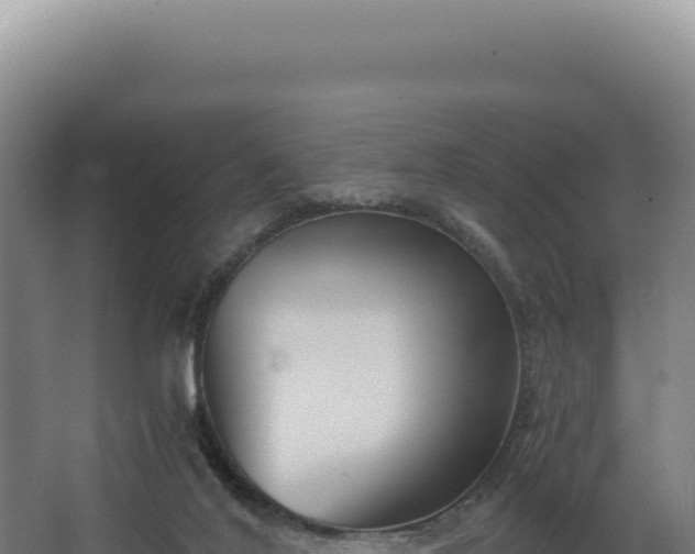 X0000068300020200604281721