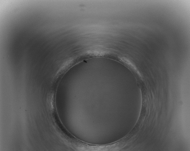 X0000068300023200604281721