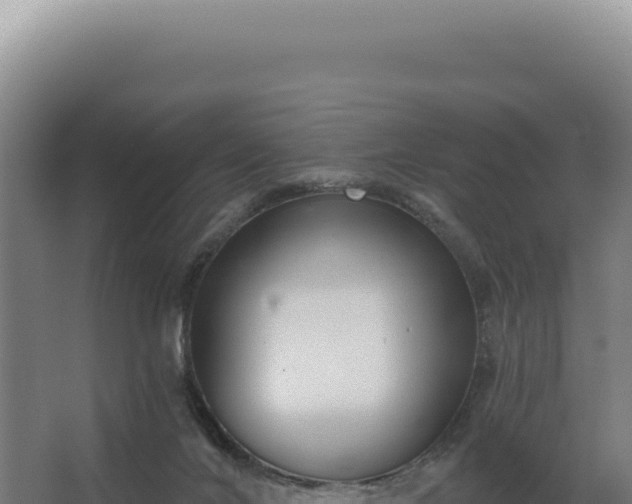 X0000068300024200604281721