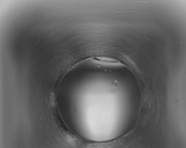 X0000068300025200604281721