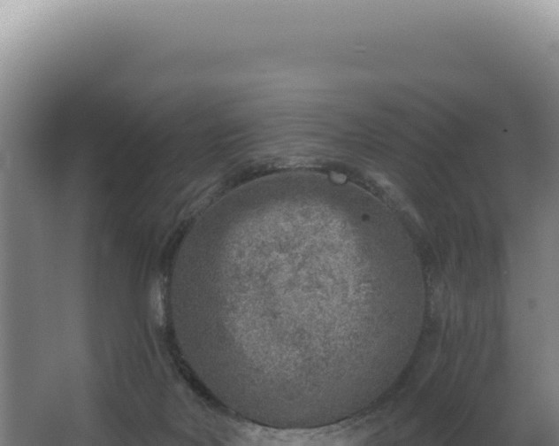 X0000068300026200604281721