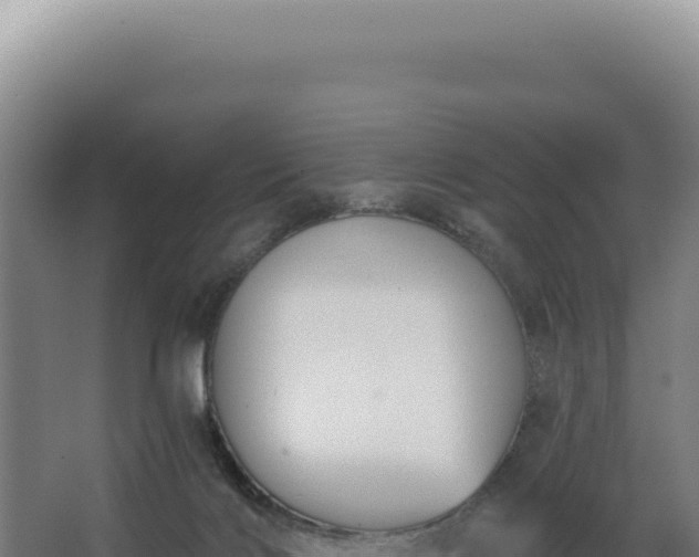 X0000068300028200604281721