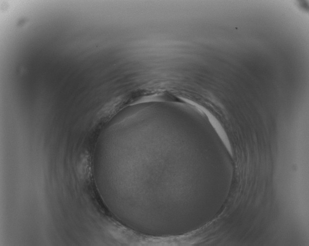 X0000068300029200604281721