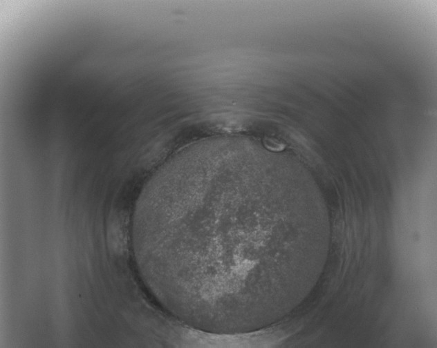 X0000068300030200604281721