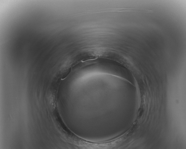 X0000068300031200604281721