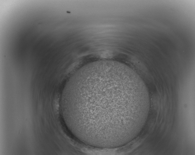 X0000068300032200604281721