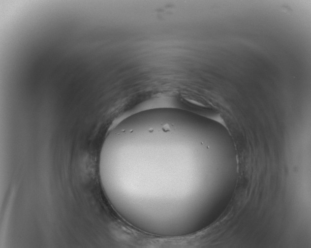 X0000068300033200604281721