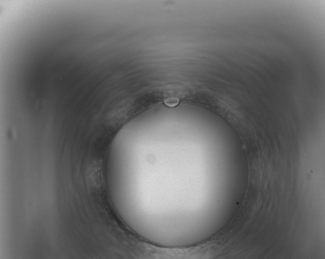 X0000068300034200604281721