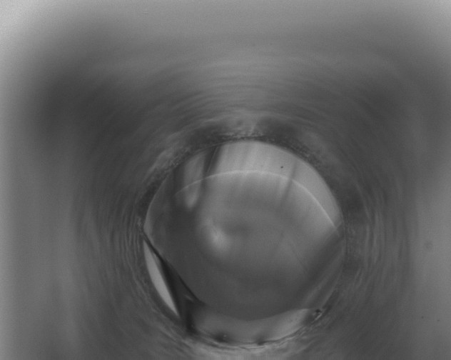 X0000068300035200604281721