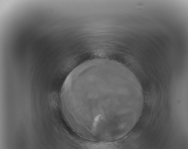 X0000068300036200604281721