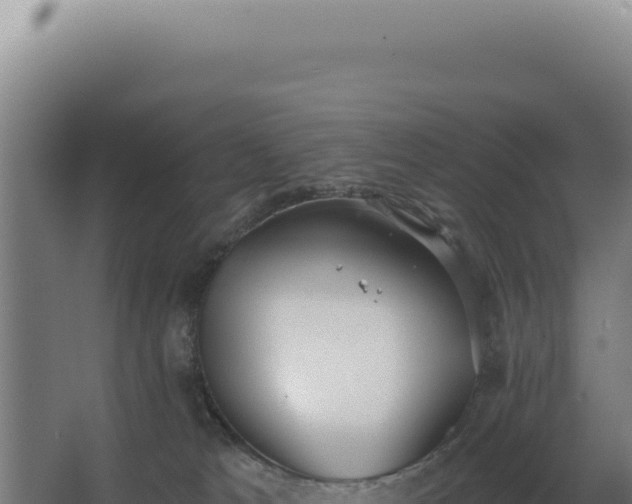 X0000068300037200604281721