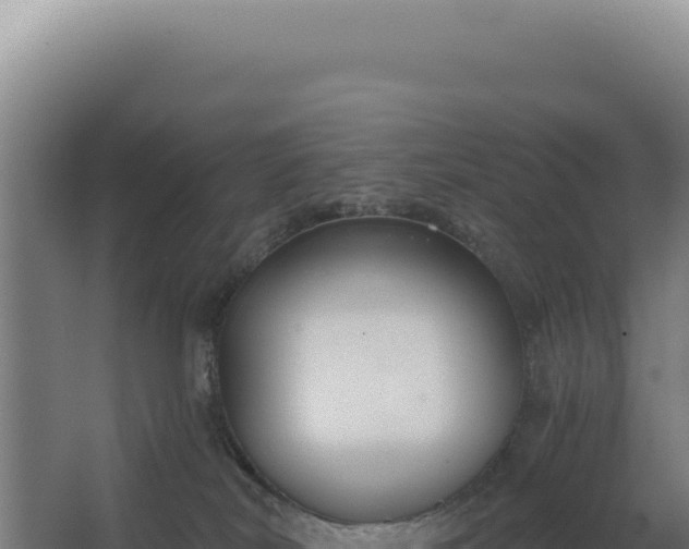 X0000068300038200604281721