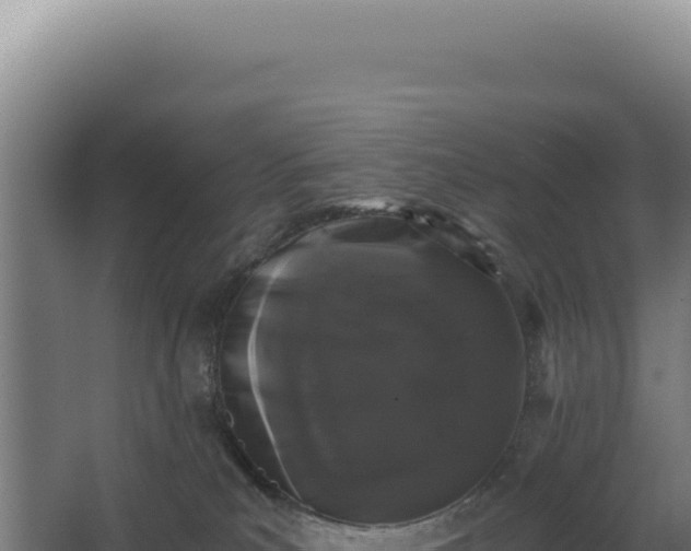 X0000068300039200604281721