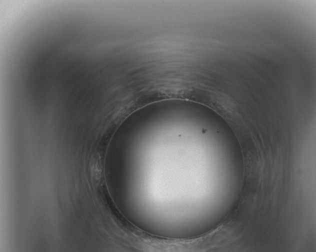 X0000068300040200604281721