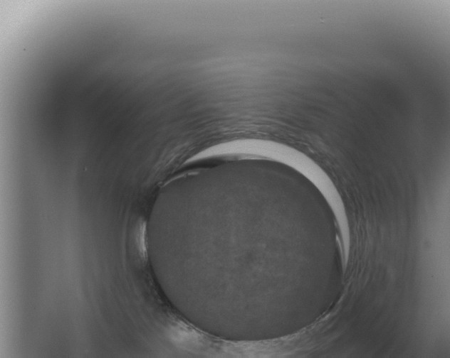 X0000068300041200604281721