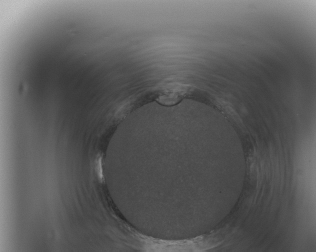 X0000068300042200604281721