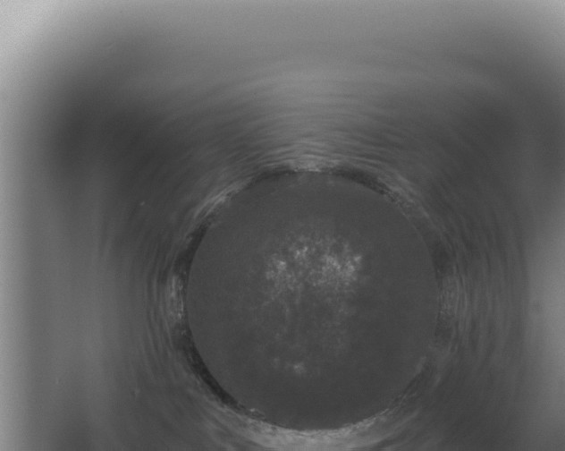 X0000068300043200604281721