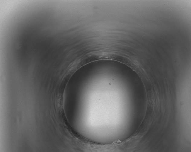 X0000068300044200604281721