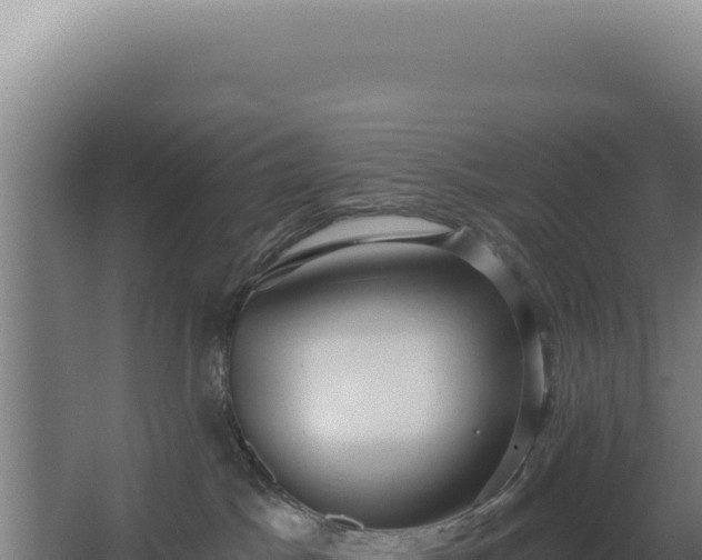 X0000068300045200604281721