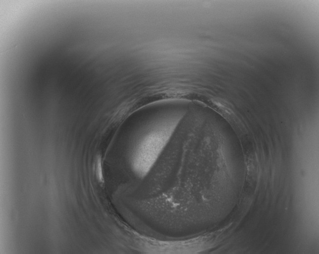 X0000068300046200604281721