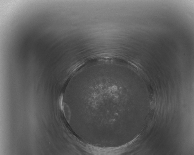 X0000068300047200604281721