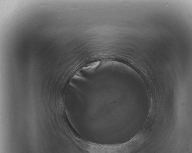 X0000068300048200604281721