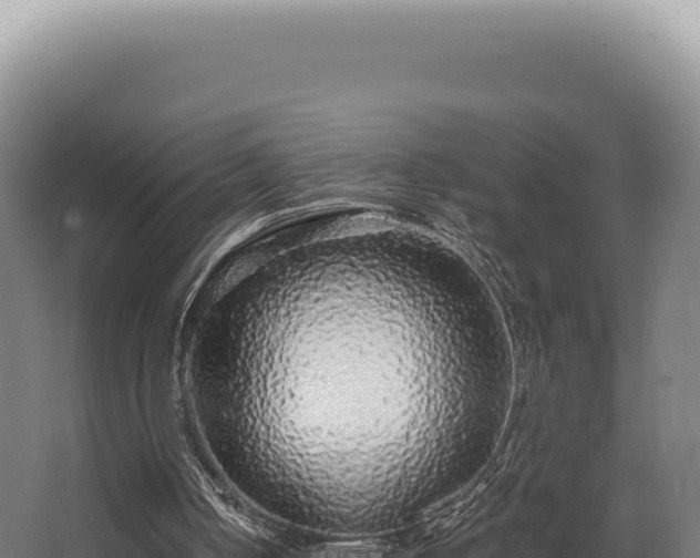 X0000068300050200604281720