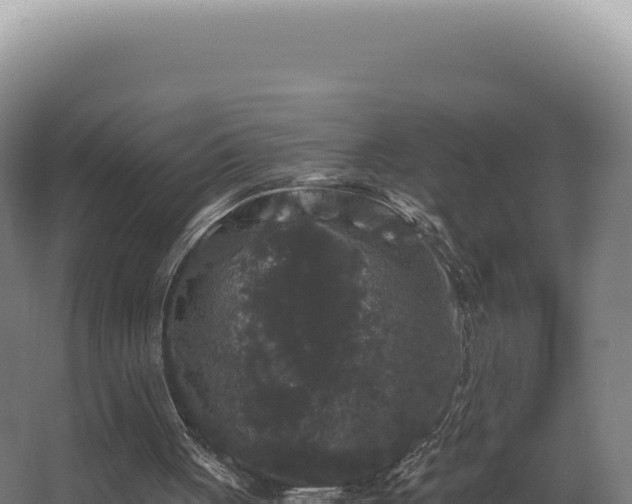 X0000068300051200604281720