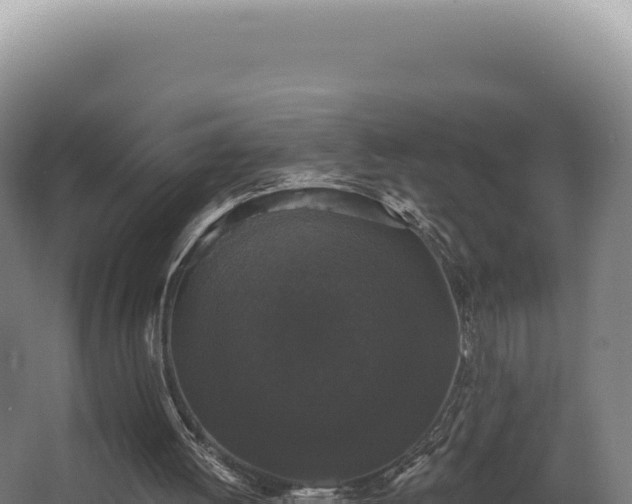 X0000068300052200604281720