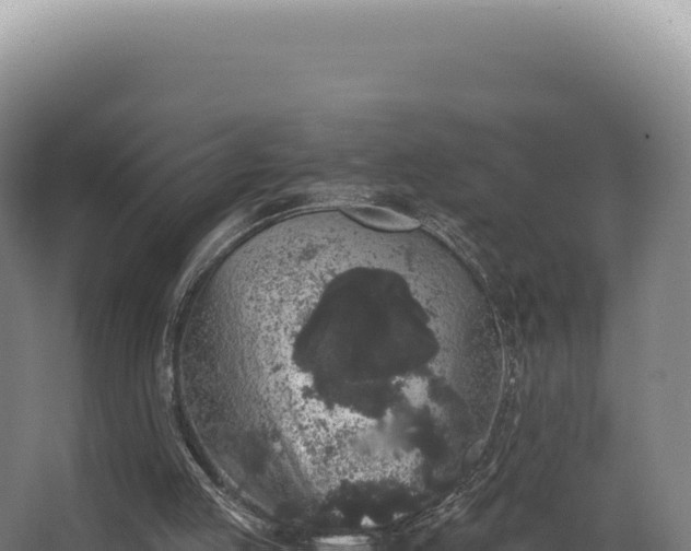 X0000068300053200604281720