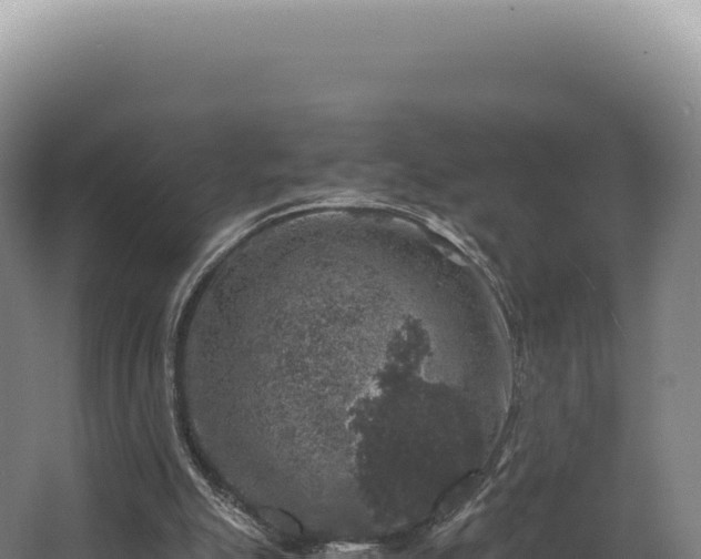 X0000068300055200604281720