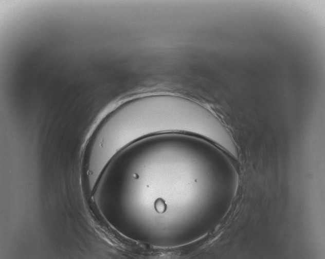 X0000068300056200604281720