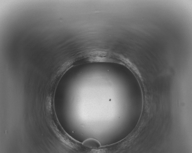 X0000068300057200604281720