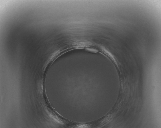 X0000068300059200604281720