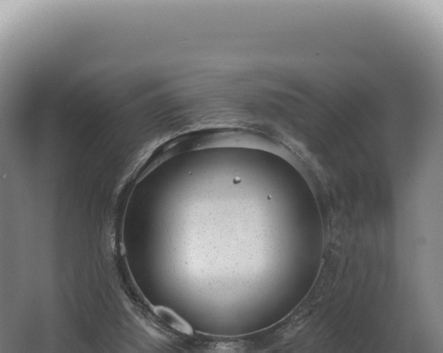 X0000068300060200604281720