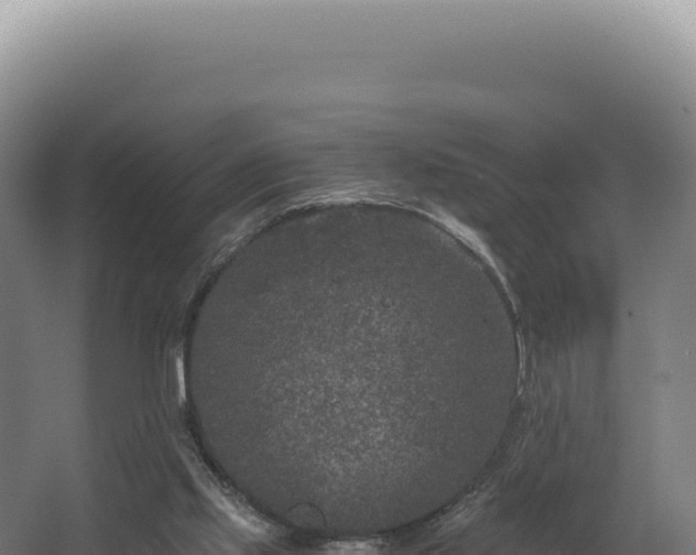 X0000068300061200604281720