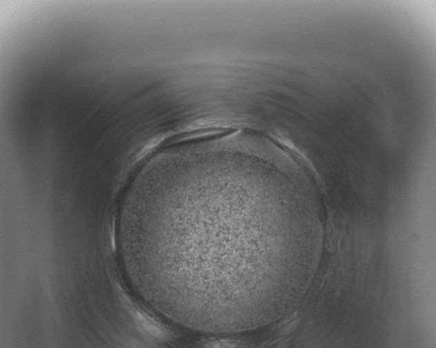 X0000068300062200604281720