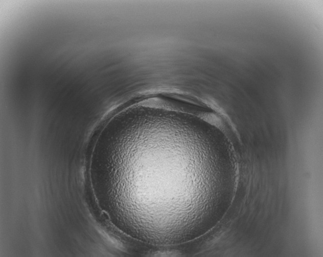 X0000068300063200604281720