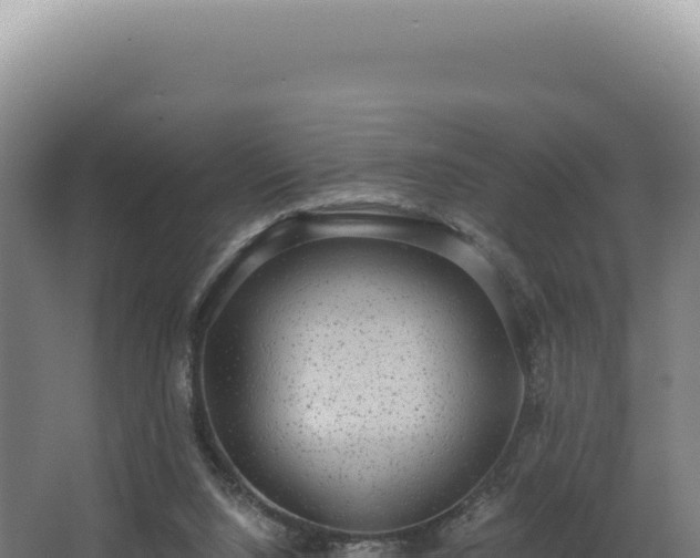 X0000068300064200604281720