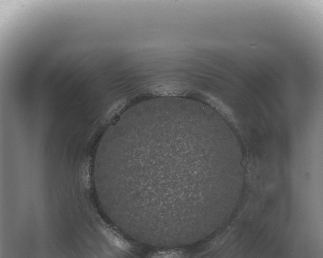 X0000068300065200604281720