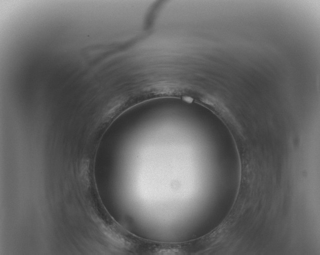 X0000068300066200604281720