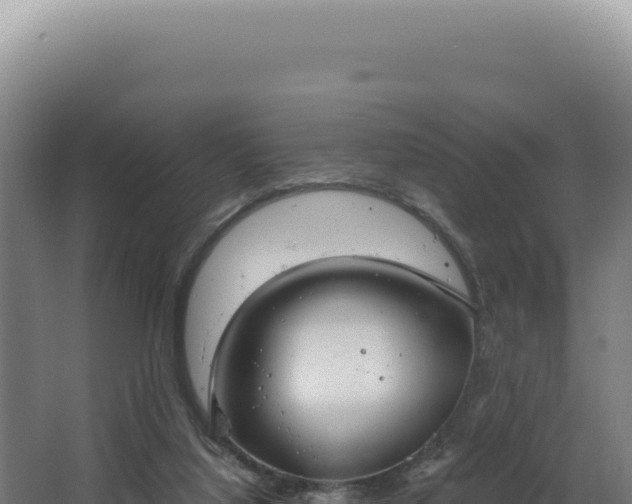 X0000068300068200604281720