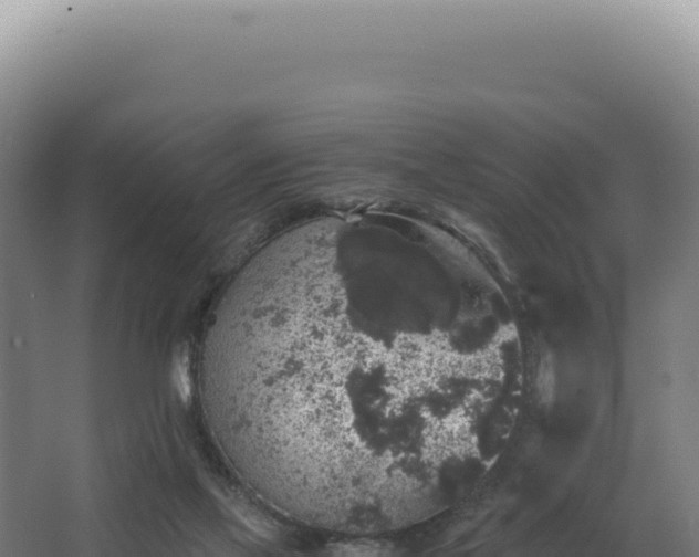 X0000068300069200604281720