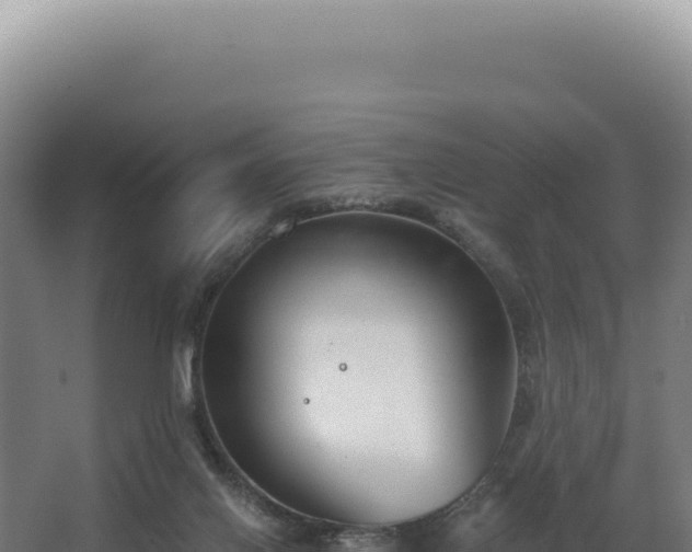 X0000068300070200604281720