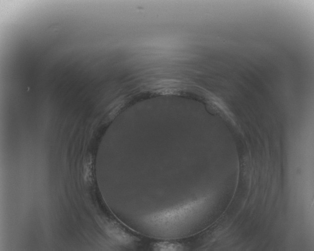 X0000068300073200604281720