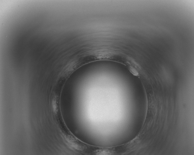 X0000068300074200604281720