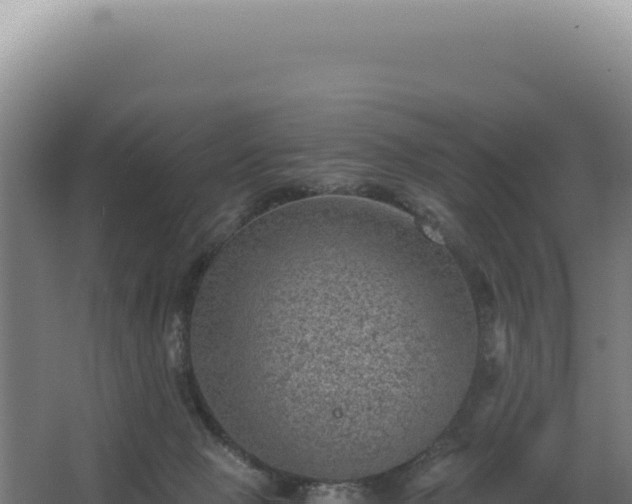 X0000068300077200604281720