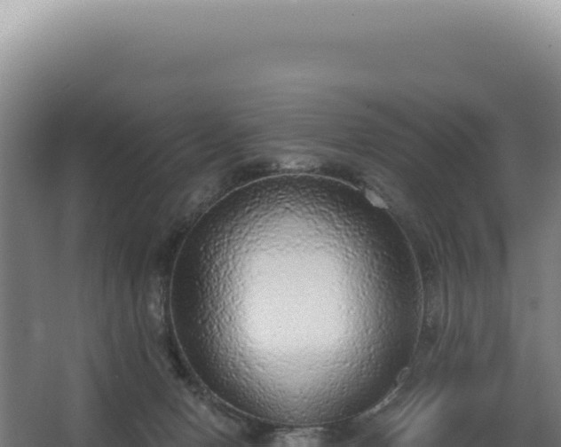 X0000068300078200604281720