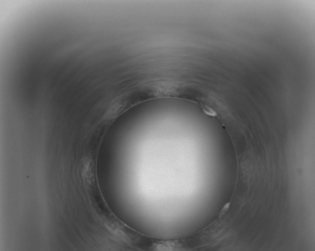 X0000068300079200604281720