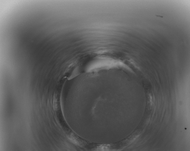 X0000068300080200604281720